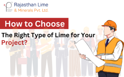 How to Choose the Right Type of Lime for Your Project?