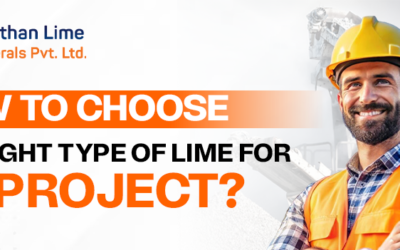 How to Choose the Right Type of Lime for Your Project?