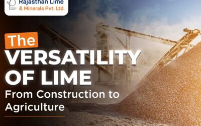 The Versatility of Lime: From Construction to Agriculture