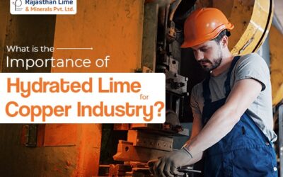 What is The Importance of Hydrated Lime for Copper Industry?