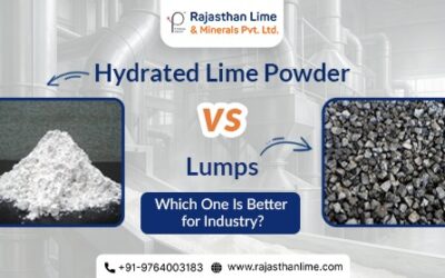 Hydrated Lime Powder vs Lumps: Which One Is Better for Industry ?