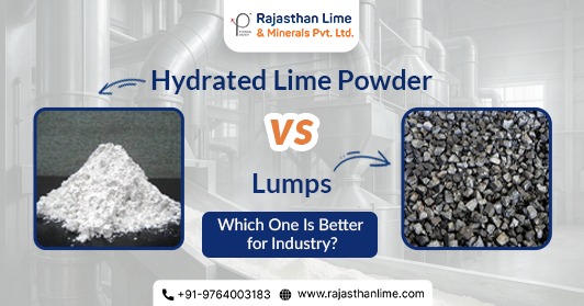 manufacturing-process-illustration Hydrated Lime Powder vs Lumps: Which One Is Better for Industry?