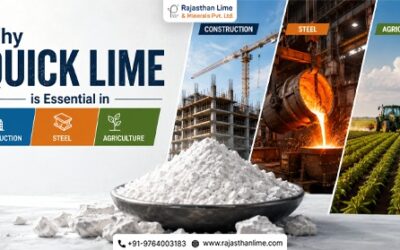 Why Quick Lime is Essential in Construction, Steel & Agriculture