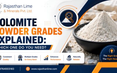 Dolomite Powder Grades Explained: Which One Do You Need?