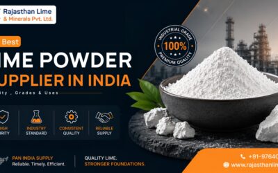 Best Lime Powder Supplier in India: Quality, Grades & Uses
