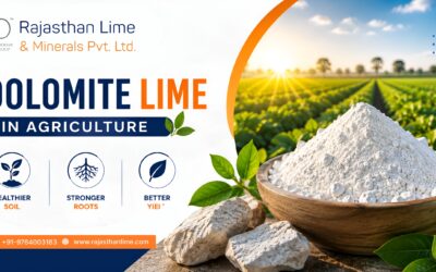 Dolomite Lime in Agriculture: Uses, Benefits & Importance
